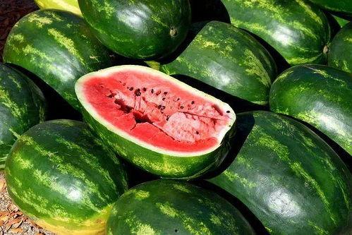 黑料吃瓜网apk普通安装 