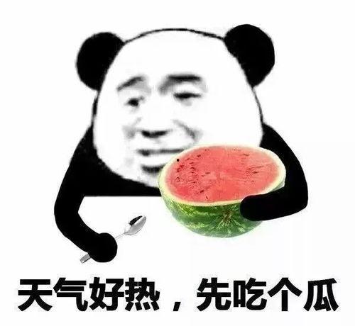 狂野甜瓜乱斗乐园 
